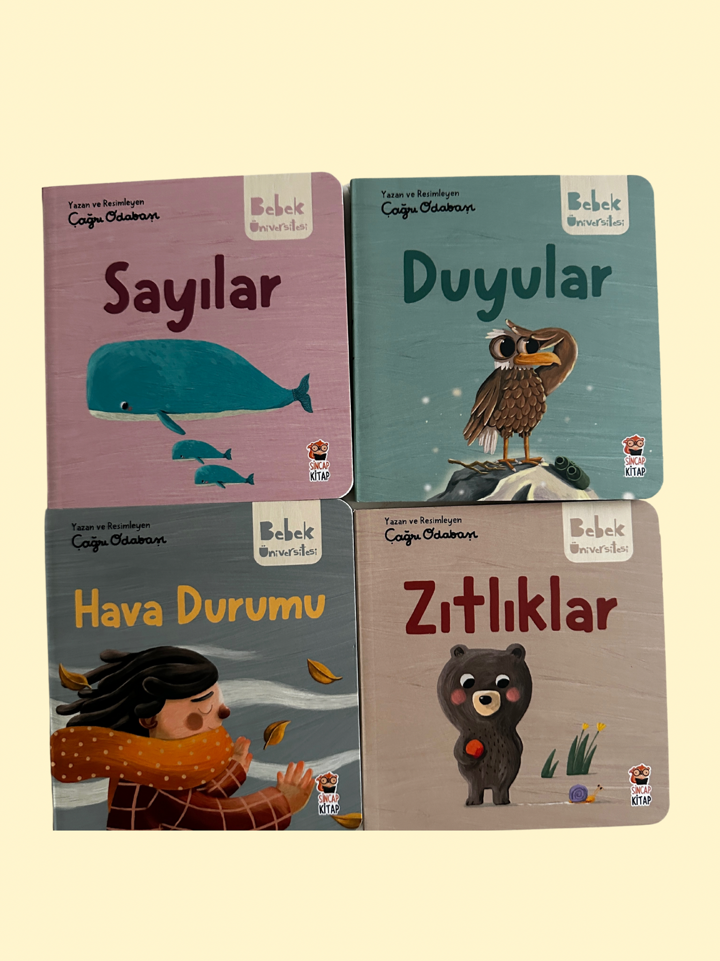 Bebek Üniversitesi 2 ( 4 Kitap)
