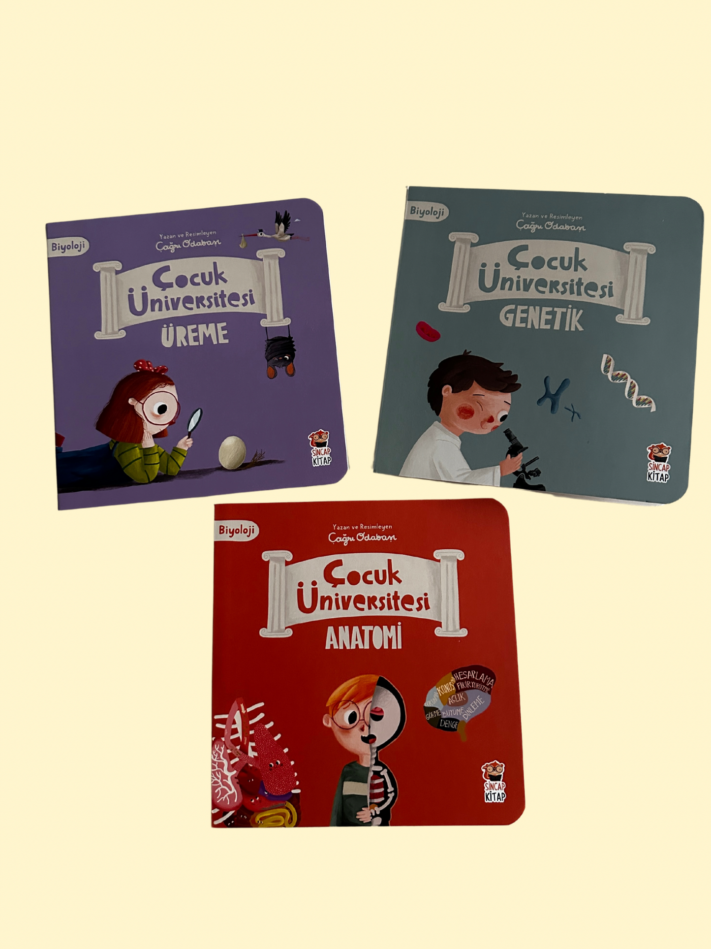 Çocuk üniversitesi Biyoloji Seti (3 Kitap) Çagrı Odabaşi