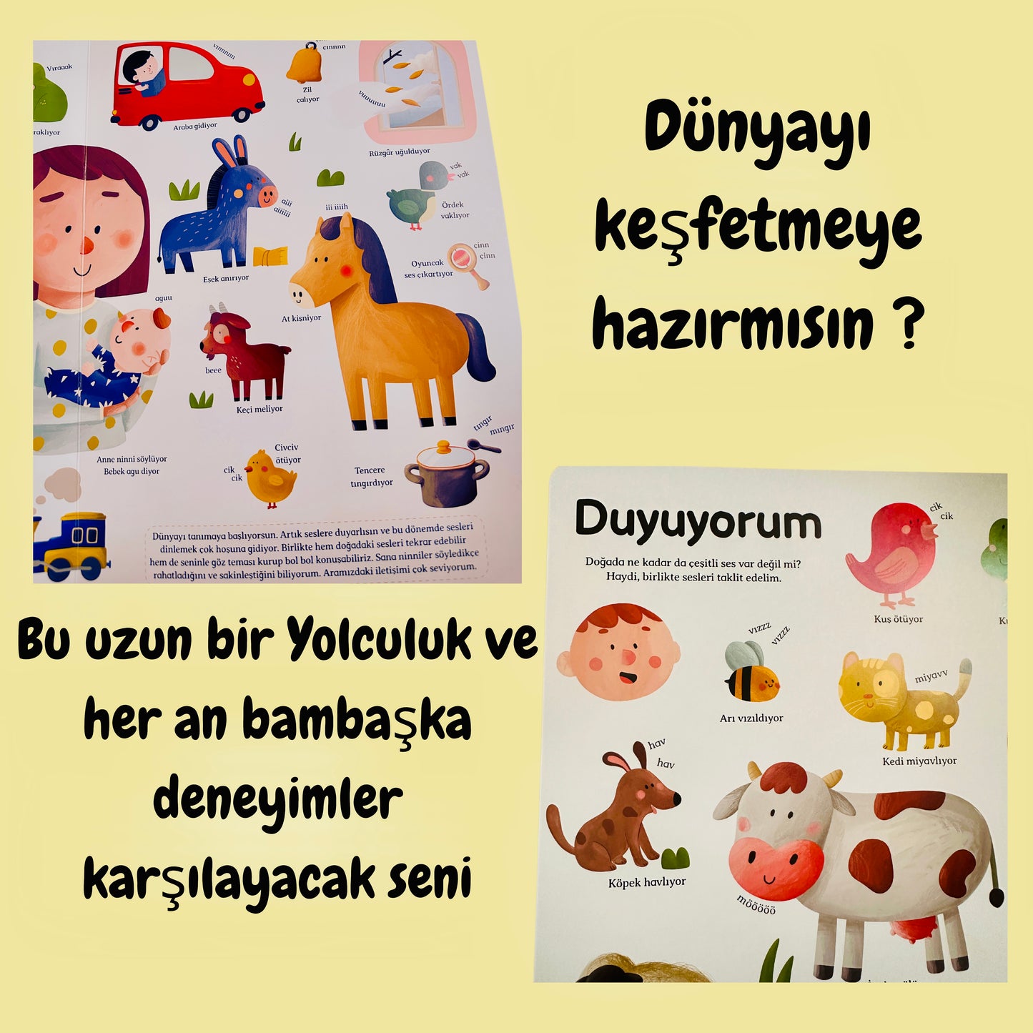 Genel Kültür Kitabım büyüyorum