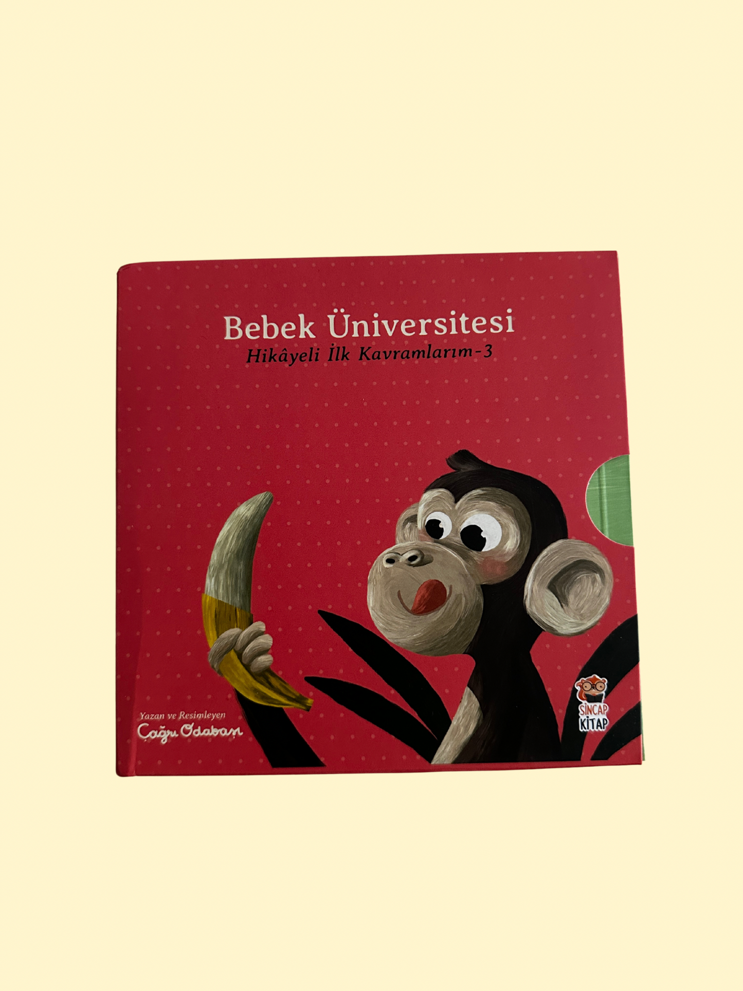 Bebek Üniversitesi 3 ( 4 Kitap)