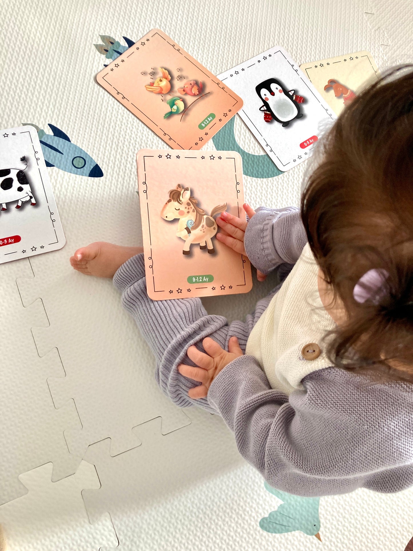 Resimli Bebek bakımı ve etkinlik kartları 0-12 ay